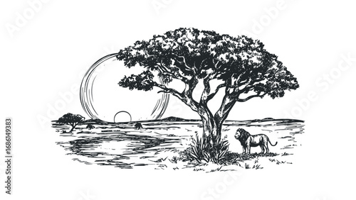 Sketch of a majestic lion standing near an acacia tree under a large sun. Vector hand drawn illustration