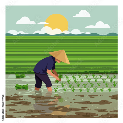 A farmer plants rice seedlings in flooded fields under a sunset.