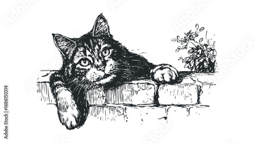 Sketch of a tabby cat resting on a textured brick surface with foliage. Vector hand drawn illustration