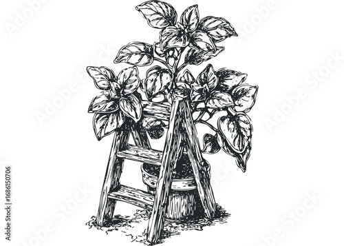 Sketch of a wooden ladder leaning against a potted plant with lush foliage. Vector hand drawn illustration