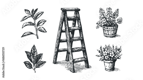 Vintage sketch of a wooden ladder and potted plants on transparent background. Vector hand drawn illustration