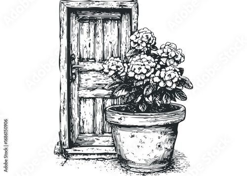 Antique wooden door with a potted flowering plant. Vector hand drawn illustration