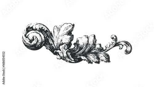 Black Swirl Ornament Scrollwork with Leafy Flourish. Vector hand drawn illustration