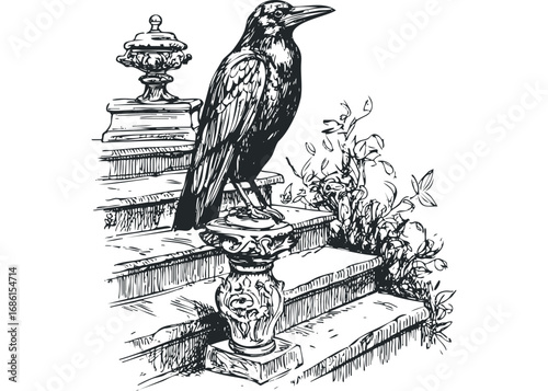 Detailed ink drawing of a raven perched on ornate stone steps with foliage. Vector hand drawn illustration