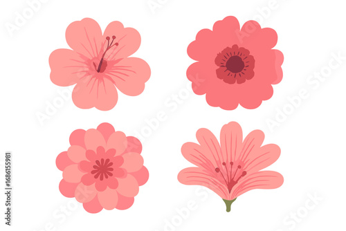 Set of pink flowers vector illustration. Collection of flat floral design elements. Botanical icons for spring, summer, wedding invitation. Cute cartoon blossom, bloom isolated.