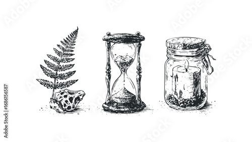 Sketch of a fern frond, hourglass, and candle in a jar. Vector hand drawn illustration