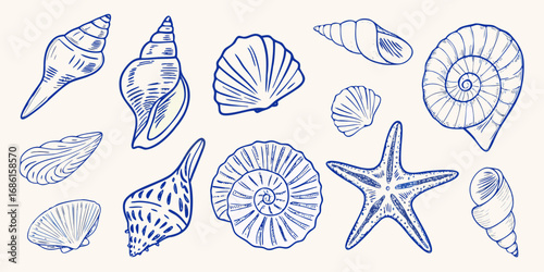 Collection of hand drawn blue line art seashells and a starfish on a cream background