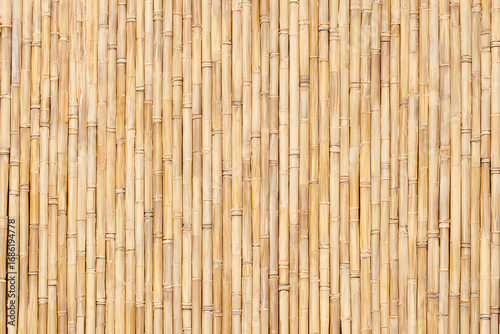Abstract background with natural bamboo fiber texture.