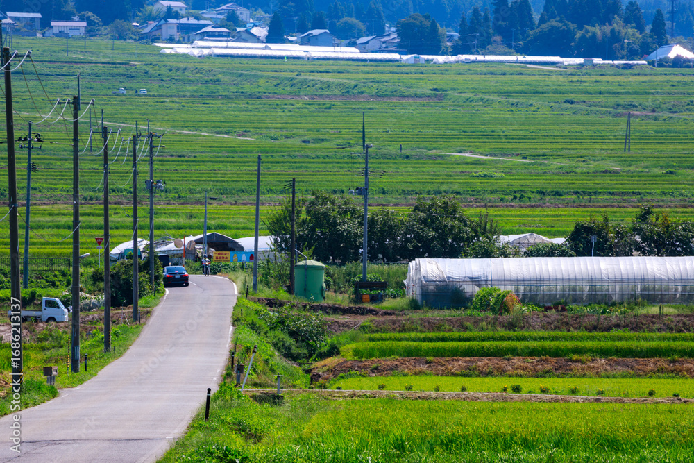 Obraz premium 夏空の下に広がる気持ちいい喜多方地方の田園風景