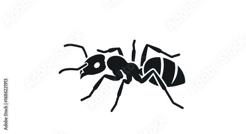 Ant insect silhouette isolated on white background.