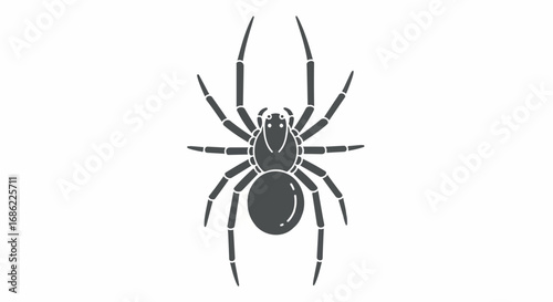 Black Spider Silhouette on White Background.