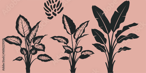 image_Art_collage_plant_le_seed504832_1756299100935_1