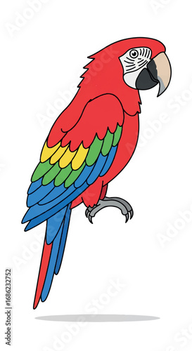 Colorful Macaw Parrot Illustration on White Background.