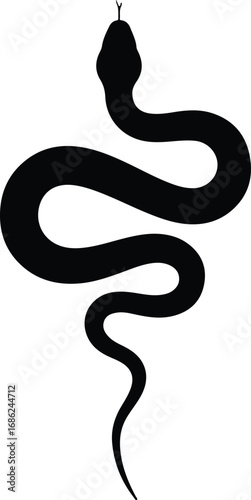 image_Black_snake_Silhouet_seed371819_1756351253754_2