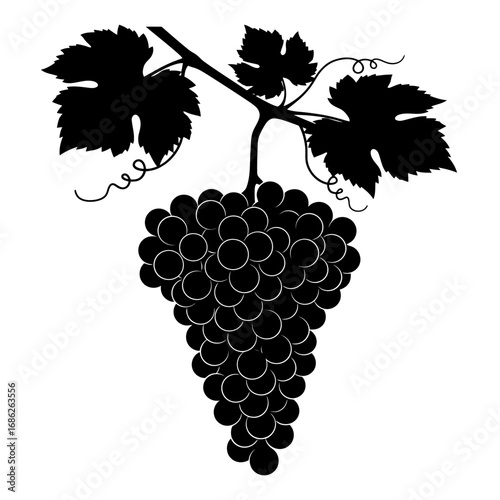 Black silhouette of grapes on a vine isolated on white background