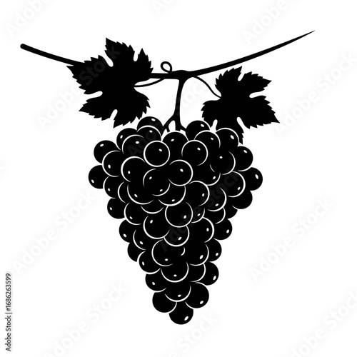 Black silhouette of grapes on a vine isolated on white background
