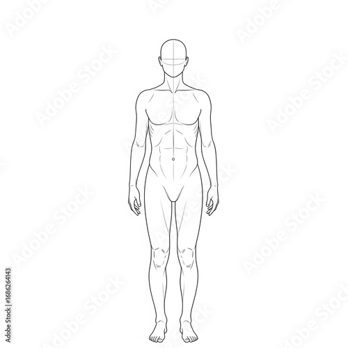 Fotografie 3d rendered illustration of a human body