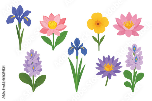 Tropical Exotic Flowers Edition #9—Water Hyacinth, Lotus, Water lily, Water poppy, and Iris. Vector Illustration. Design Element. Clip art. Suitable for artwork design. Editable for any design.