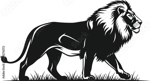 Majestic lion walking gracefully grass, showcasing its strength and beauty in a striking monochrome illustration