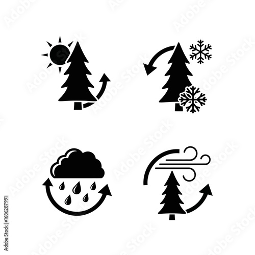 Four icons illustrating a conifer tree's response to sun, snow, rain, and wind.