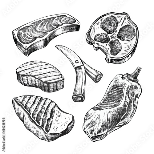Vintage Butcher Meat Cuts Hand-Drawn Illustration Set)