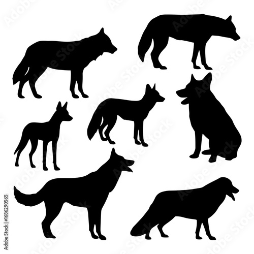 Silhouette collection of various wolf and fox poses standing sitting and lying down on a white background