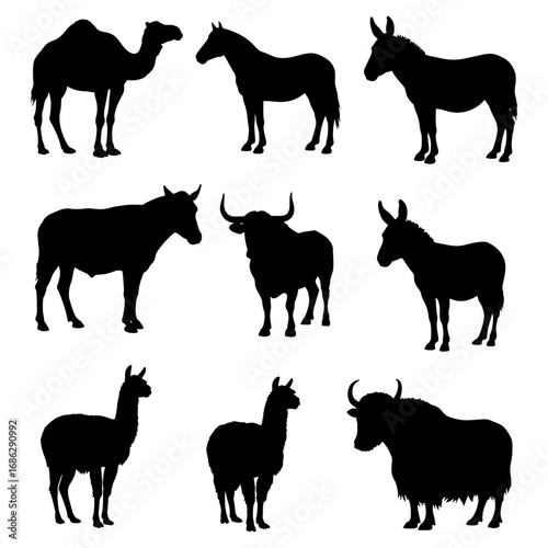 Silhouette illustration featuring a camel horse donkey bull llama yak and other farm animals in black