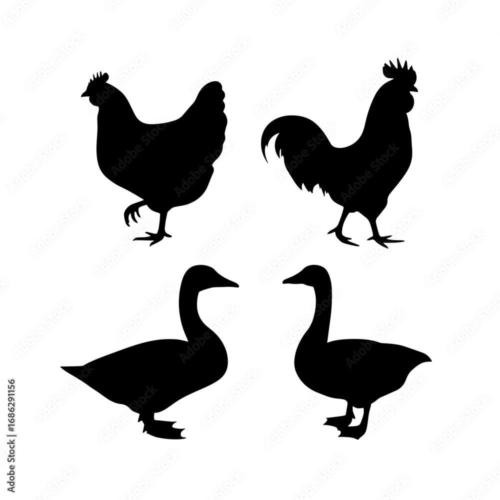 Fototapeta premium Silhouette depiction of a hen, rooster, and two geese standing on a white isolated background view