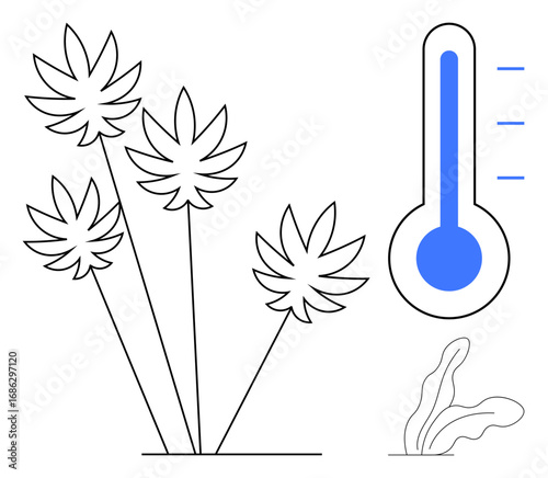 Cannabis leaves with a blue thermometer signifying temperature levels. Ideal for climate, agriculture, environmental science, plant growth, cannabis industry, health, sustainability. Simple flat