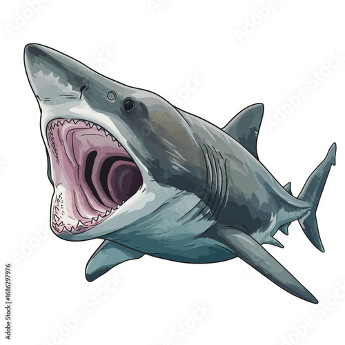 Detailed vector art of an aggressive great white shark with an open jaw, showcasing its powerful teeth in a dynamic pose