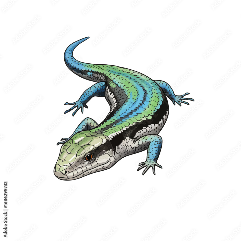 Naklejka premium Vector illustration of a vibrant blue and green skink lizard with a long tail, depicted in a detailed, realistic style on a white background