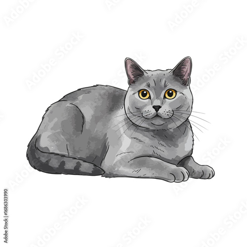 An artistic watercolor style vector image of a beautiful grey cat lying down. Charming feline pet portrait illustration isolated on a white background