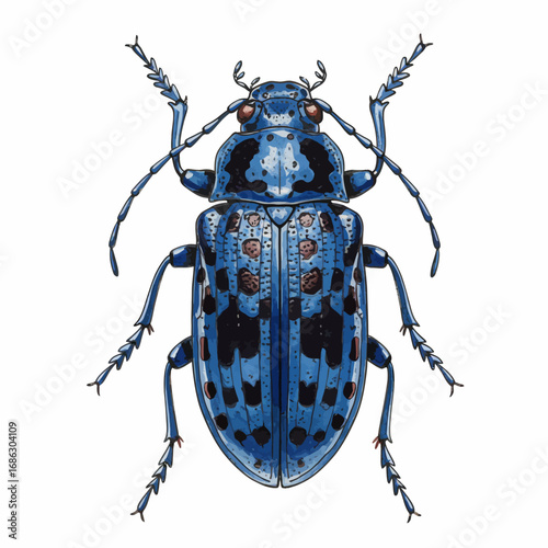 A beautifully detailed watercolor vector illustration of a vibrant blue beetle with black spots, isolated on a clean white background for entomological studies