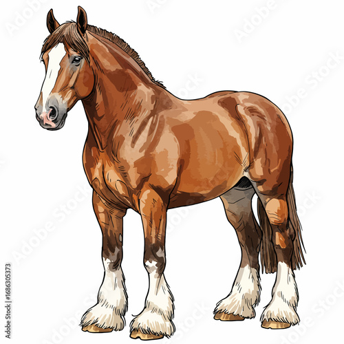 Detailed watercolor vector illustration of a majestic Clydesdale horse standing proudly, showcasing its powerful build and feathered hooves