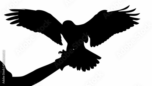 Silhouette of a bird with outstretched wings perched on a person's arm in a striking black and white image