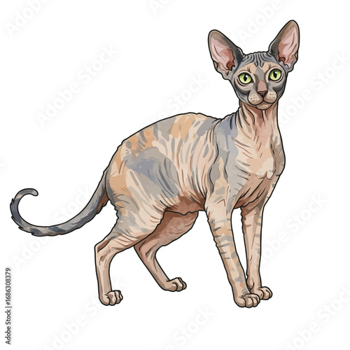 Elegant vector illustration of a hairless Sphynx cat with detailed skin texture. This exotic feline stands in a graceful pose, rendered in a watercolor style and isolated on a white background