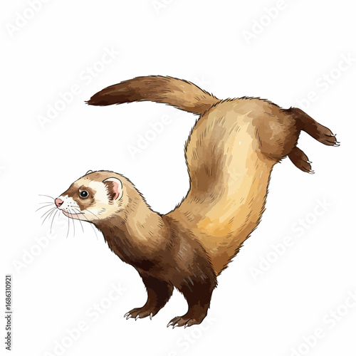 An energetic brown ferret captured mid-jump in a playful dance. This charming watercolor style vector graphic is isolated on a clean white background
