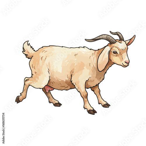 Detailed watercolor vector illustration of a beige fainting goat. Hand-drawn domestic livestock animal shown in a dynamic pose, isolated on a white background