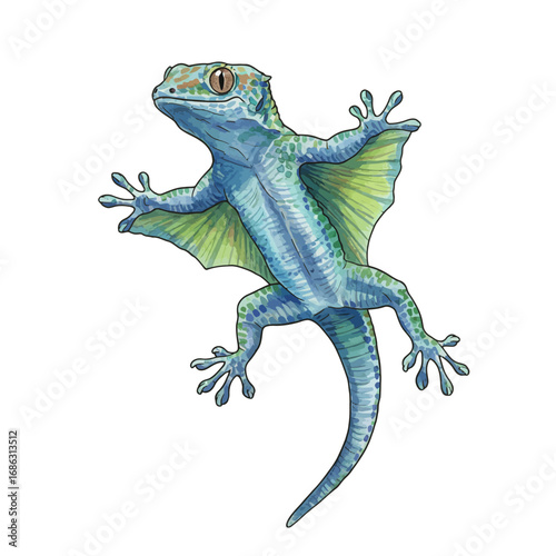 Artistic watercolor illustration of a beautiful flying gecko. Detailed hand-drawn exotic blue and green gliding lizard isolated on a plain background