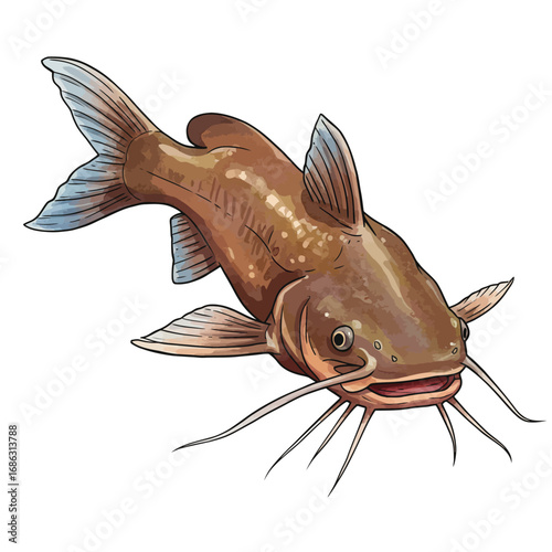 Detailed watercolor vector illustration of a freshwater brown bullhead catfish, isolated on a white background for aquatic life and fishing themes