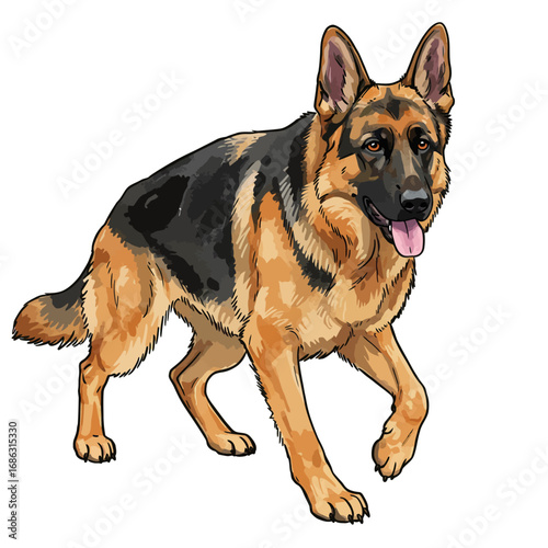 A vibrant vector illustration of a noble German Shepherd dog in a walking pose, showcasing its iconic black and tan coat on a clean background