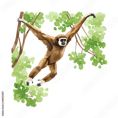 A graceful watercolor vector illustration of a wild gibbon ape swinging through lush green jungle trees, isolated on a white background