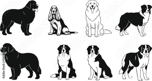 Stylized dog breed vector set featuring Newfoundland, Bernese Mountain Dog, Golden Retriever, Saint Bernard, Border Collie, and Cocker Spaniel