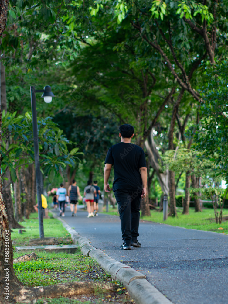 Fototapeta premium People Running and Walking Exercise in Lush Green Public Park with Shade Trees - Outdoor Fitness Activity.