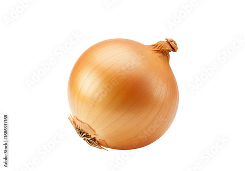 Wallpaper Mural Single onion vegetable food transparent background Torontodigital.ca