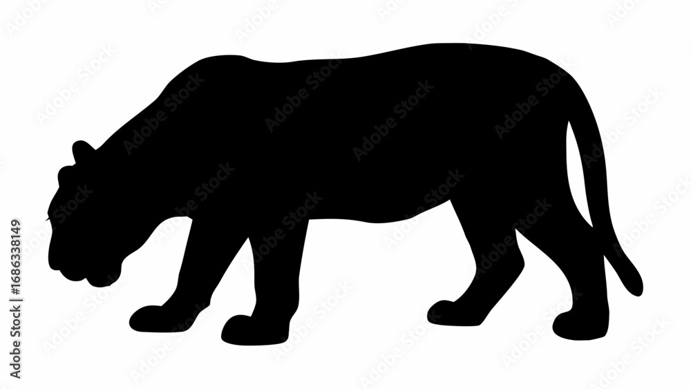 Fototapeta premium Silhouette of a large cat walking with its head down and tail up on a white background image view
