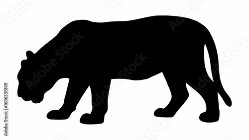 Silhouette of a large cat walking with its head down and tail up on a white background image view