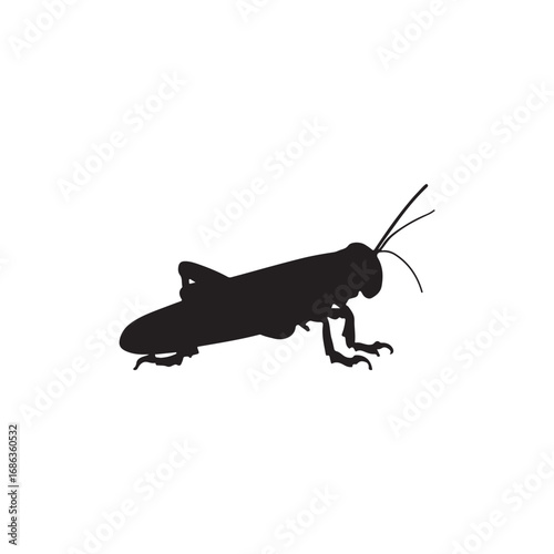 Cricket Vector (4).eps