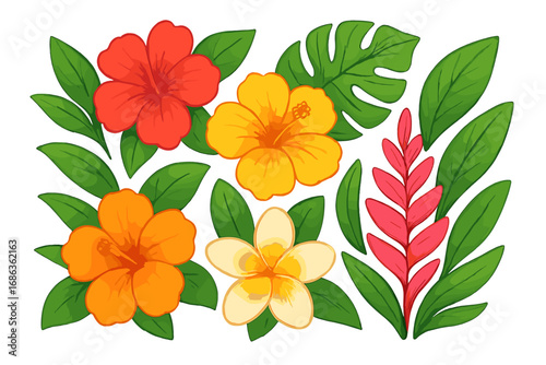 Set of tropical flowers and leaves. Hibiscus, plumeria, monstera leaf collection. Exotic botanical vector illustration for summer, hawaiian design. Isolated floral elements.