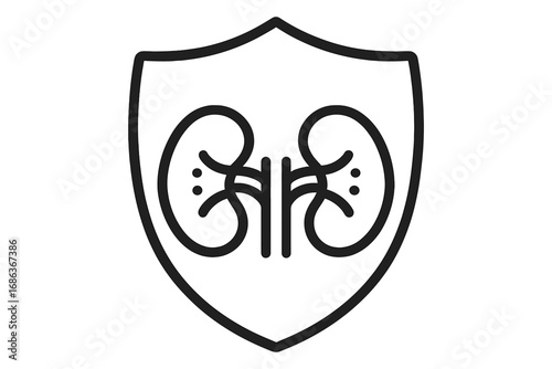 Kidney protection shield icon. Urology and nephrology concept. Health care and medical insurance symbol. Human organ anatomy vector logo for diagnostics, treatment, and transplant.